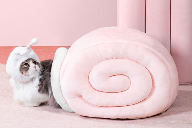 A snail-inspired cat bed
