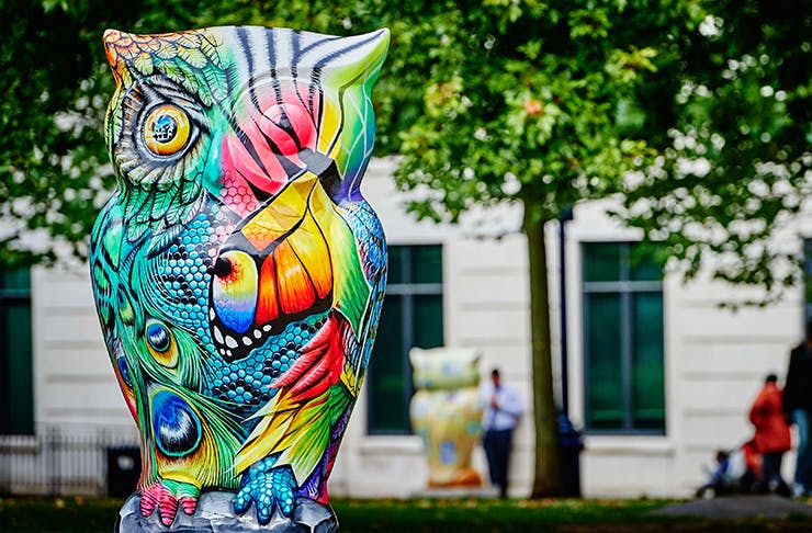 auckland-owl-sculptures