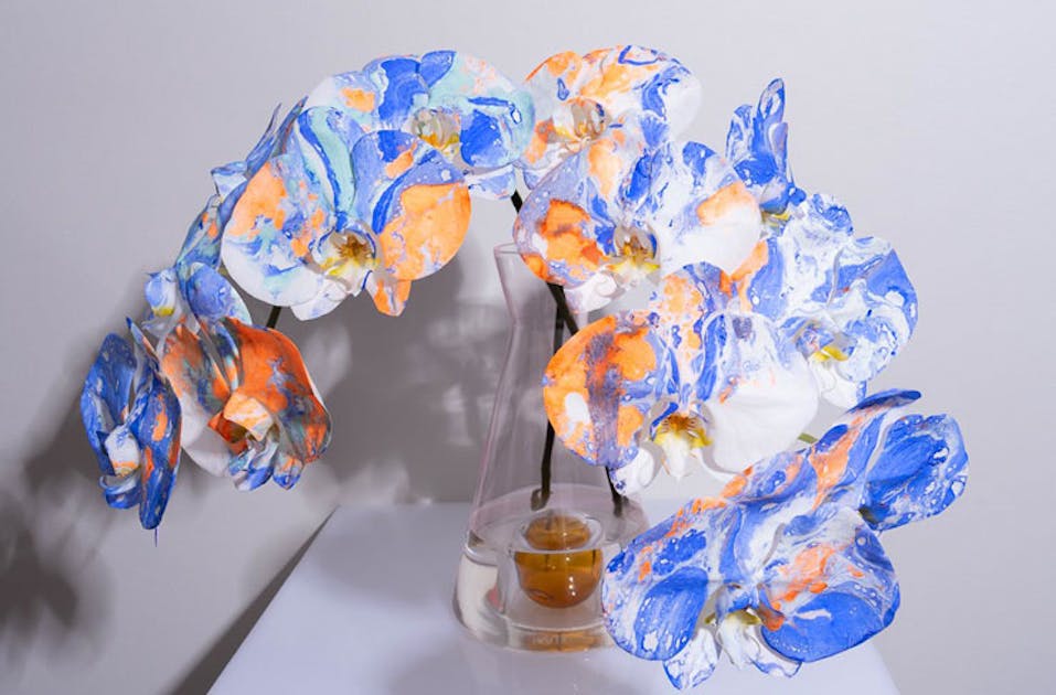 Sydney's Best Gift Delivery Delivery Services In 2023 URBAN LIST SYDNEY