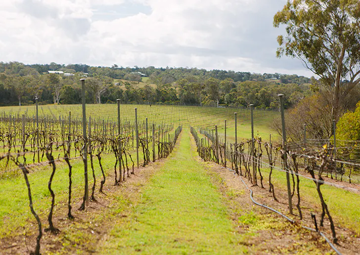 glamping-sirromet-brisbane