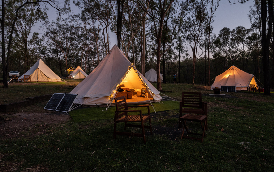 three canvas tents in the bush at dusk
