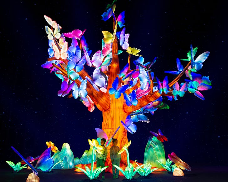 GLOW light festival sydney zoo