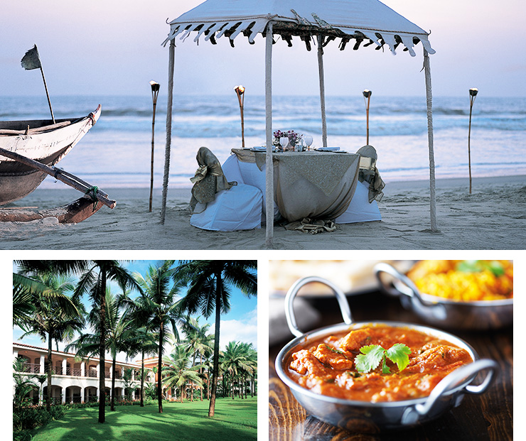 Best things to do in goa