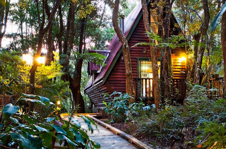A Gold Coast cabin set amongst the trees