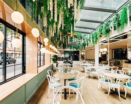 a glass walled dining area with green vines hanging from the glass ceiling
