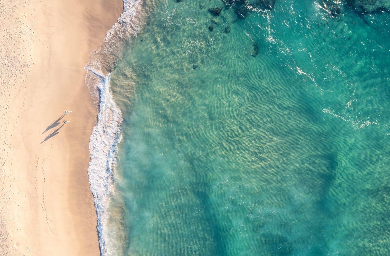 sydney bondi beach - good news stories