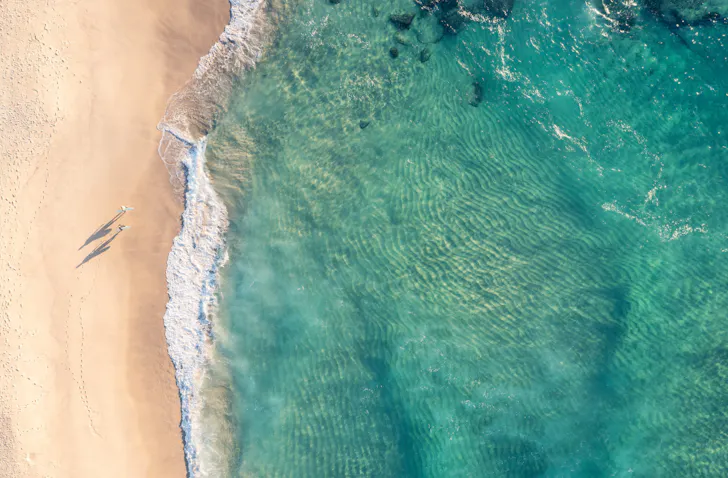 sydney bondi beach - good news stories