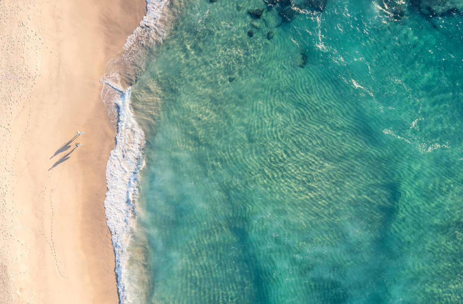 sydney bondi beach - good news stories
