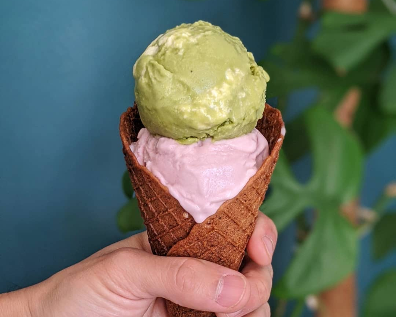 Auckland's Best Vegan Restaurants And Cafes Urban List NZ