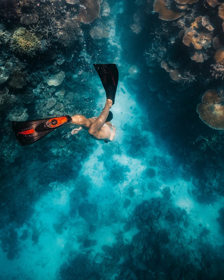 A snorkeler swims downward in between shelves of vibrant coral.