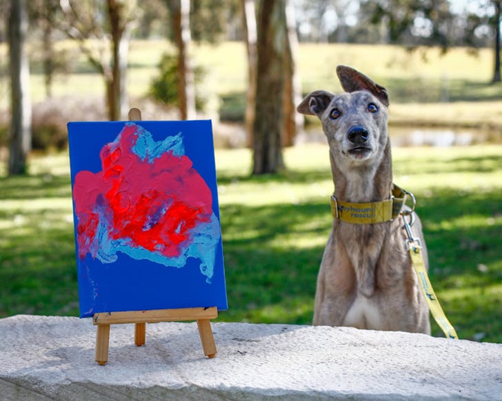 Greyhound Rescue art auction