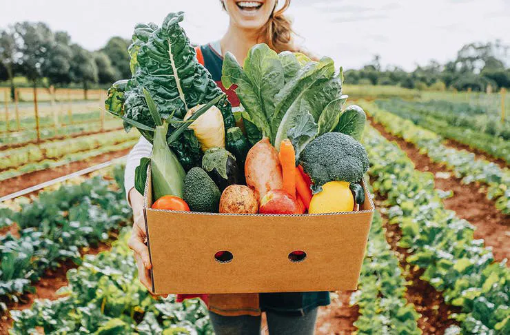 10 Gold Coast Businesses That Deliver Groceries To Your Door URBAN LIST GOLD COAST