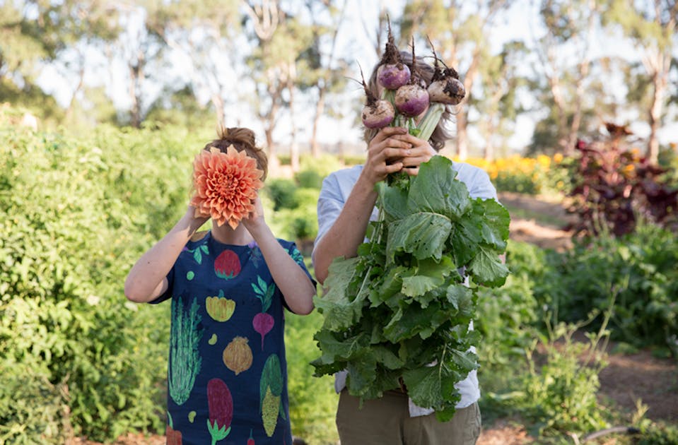 Green Thumb vs Black Thumb How To Make Things Grow URBAN LIST BRISBANE