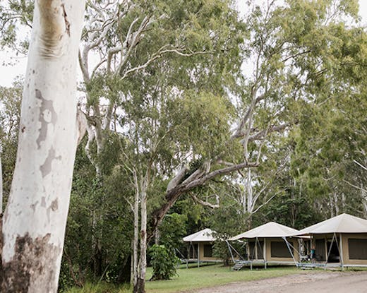 habitat_noosa 
