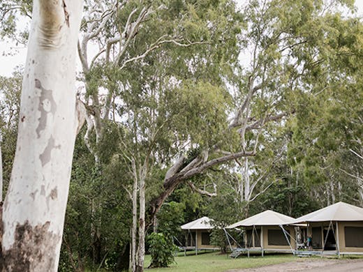 habitat_noosa 