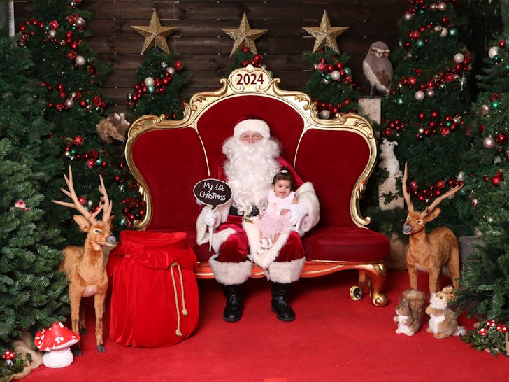 Waverly gardens Christmas photo 