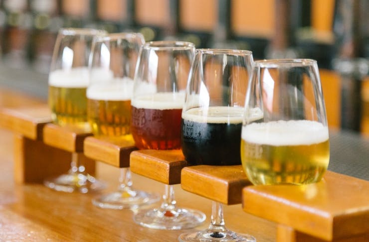 Auckland's Best Craft Beer Bars