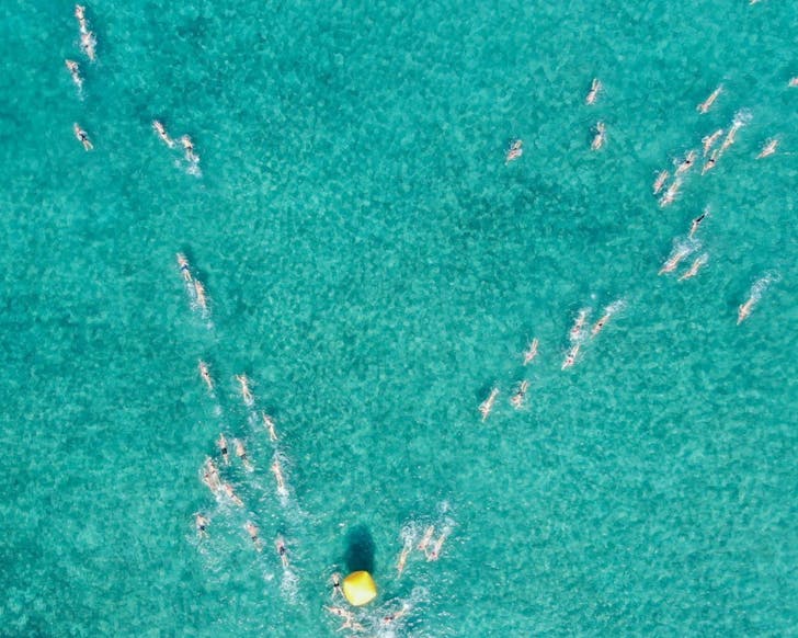 hamilton island ocean swim 2025