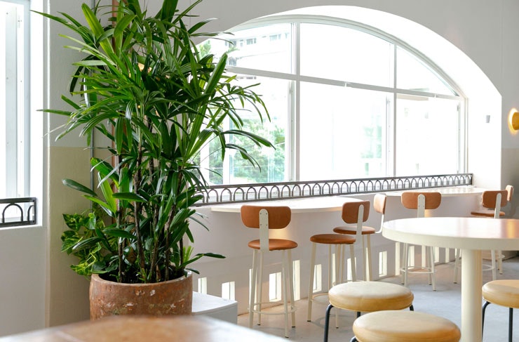 Timber stools beside an arched window at the Harbord Hotel. 