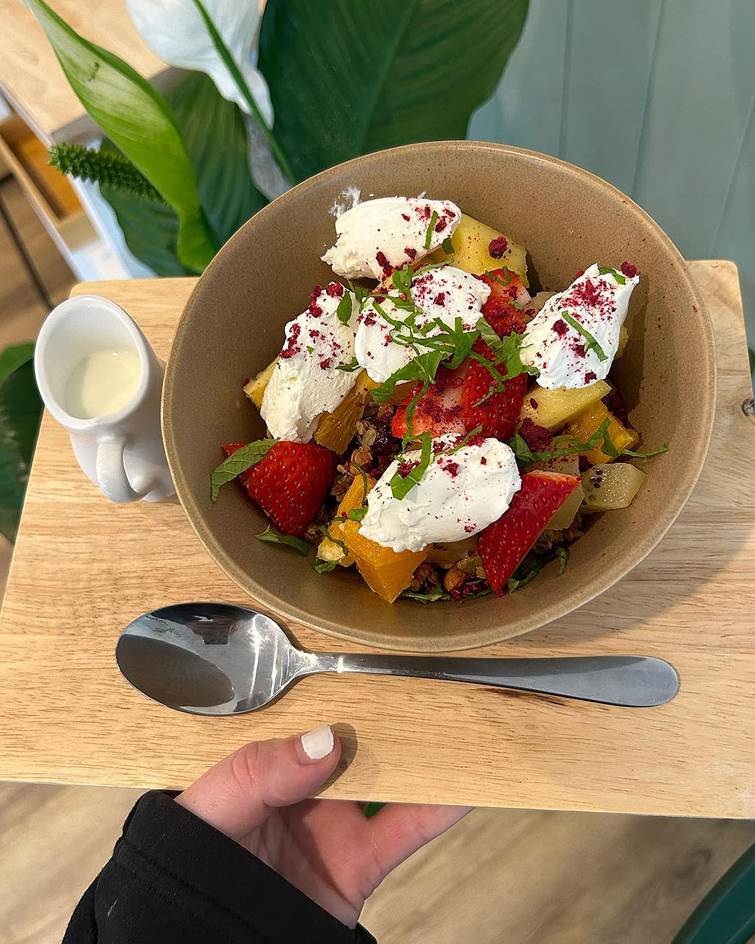 House made Granola with Greek Yoghurt, Seasonal Fruit & Mint at Hattie's Cafe in Nelson.