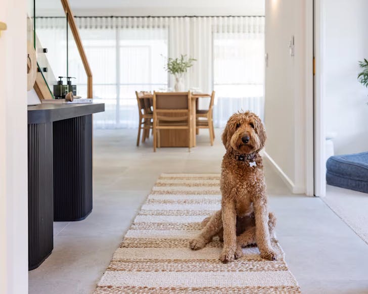 haus fina pet-friendly airbnb near sydney accommodation nsw