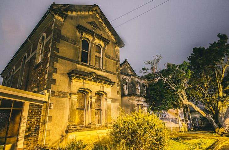 Here Are The Best Things To Do In Auckland At Night