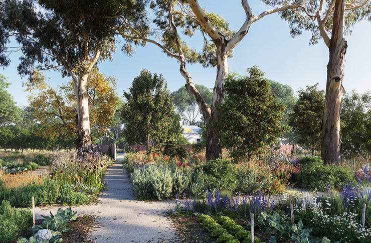 The beautiful gardens surrounded by gumtrees at Heide museum.