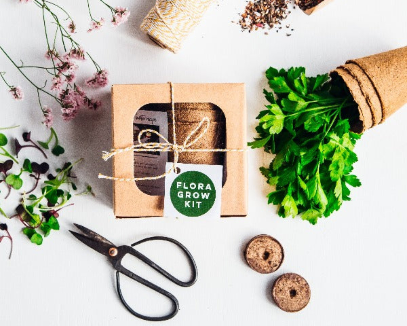 The adorable kitchen herb kit is displayed alongside scissors, twine, and a bundle of parsley