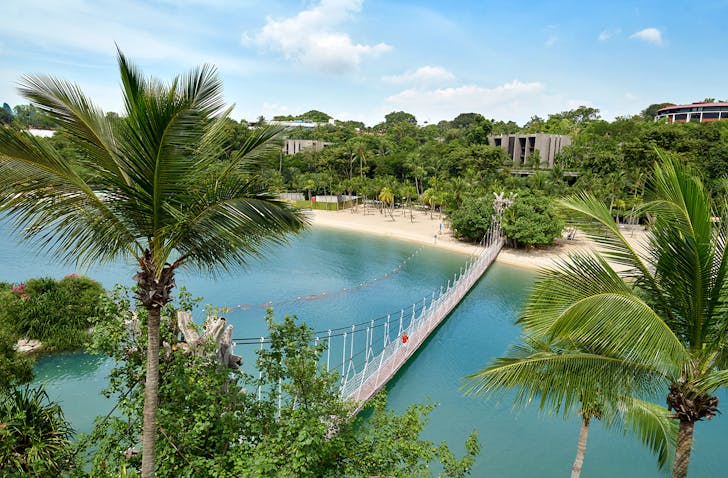 Palm trees and beach water in Singapore.