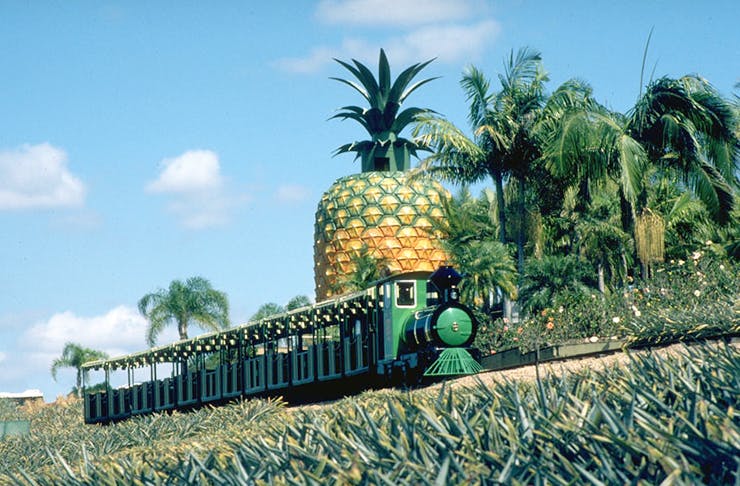 big-pineapple