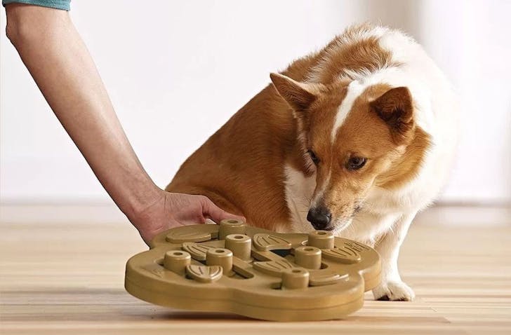 Hide'n'slide Composite Dog Toy