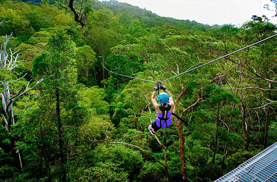 BREAKING An Epic Zipline And High Ropes Course Is Coming To The Coast