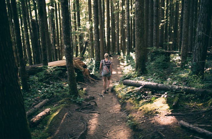 A woman on a walking trail through a forest of trees.