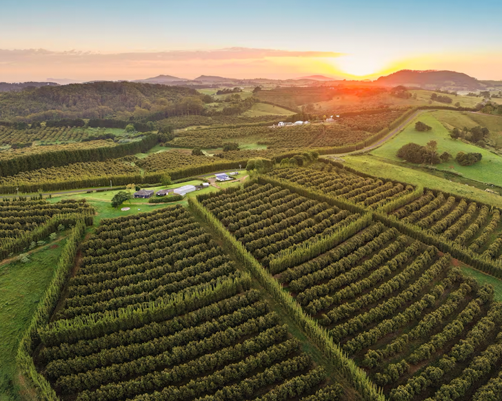 Hilltop farm stay comboyne one of the best family friendly airbnbs near sydney