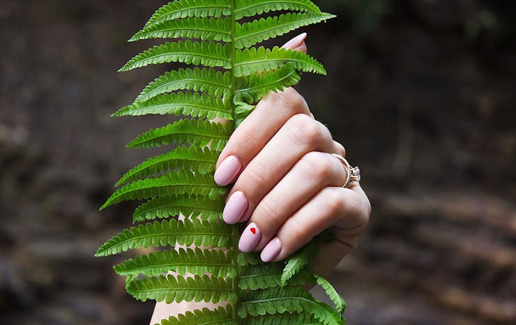 A woman with a nice manicure holds onto a fern leaf.
