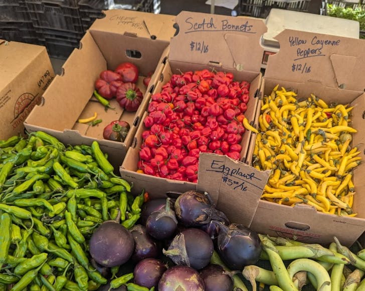 Hollywood Farmers Market