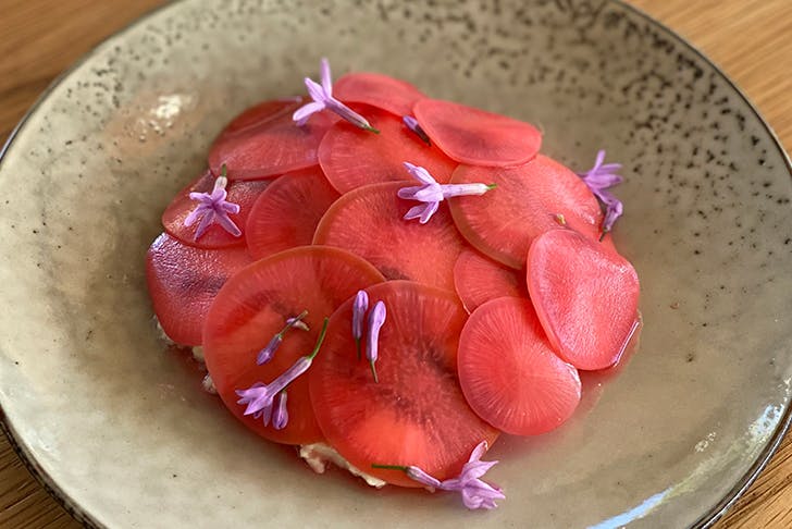 a close up shot of a beautiful pickled radish ricotta ortiz dish