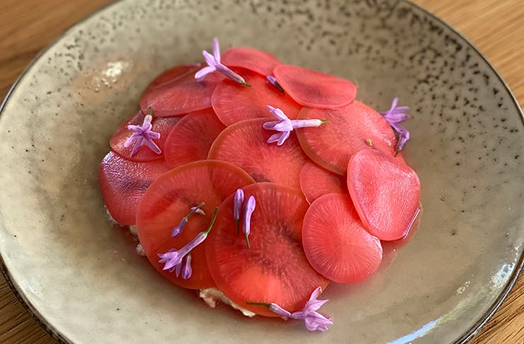 a close up shot of a beautiful pickled radish ricotta ortiz dish
