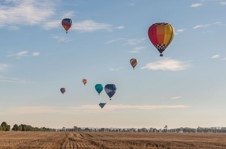 Hot air balloons in sky