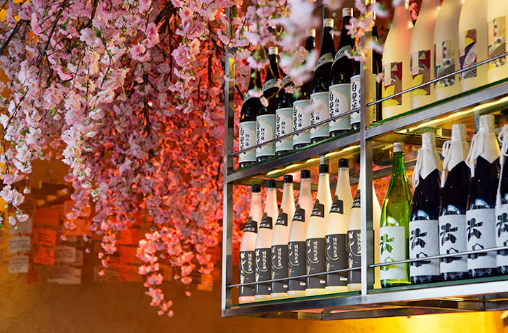 tips for how to drink sake