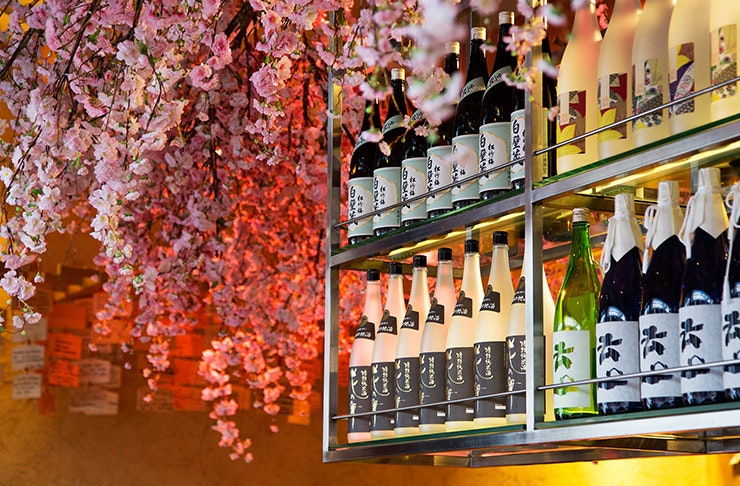 tips for how to drink sake