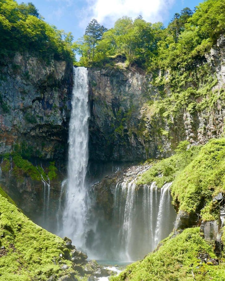 A thundering waterfall crashing between tall green trees