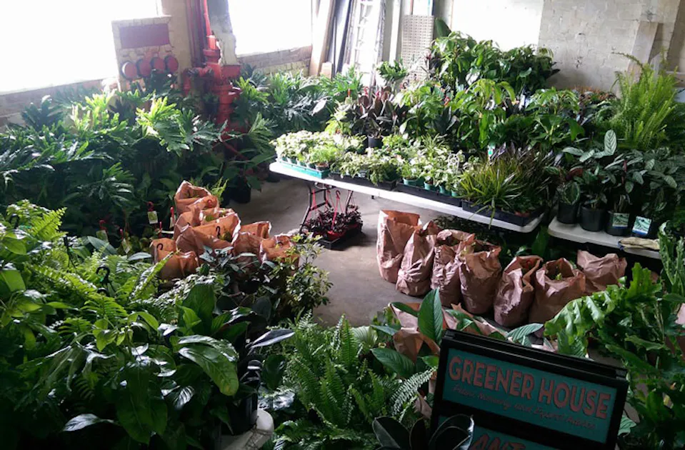 There’s A Big Ol’ Indoor Plant Sale On This Weekend URBAN LIST MELBOURNE