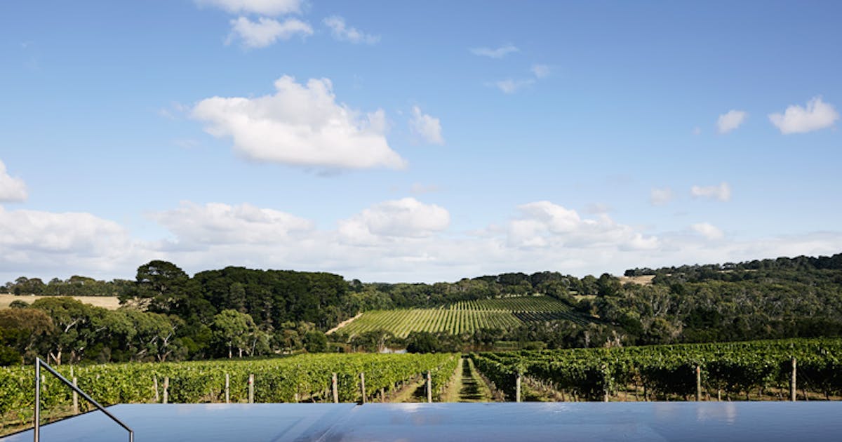 Wineries That You Can Crash At After A Few Savvy B S Urban List Melbourne
