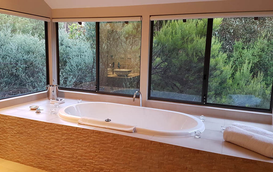 a bathtub wind windows looking out onto lush forest views