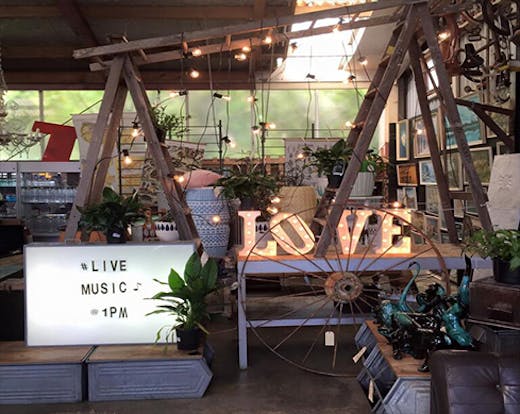 Junk & Disorderly is a must-visit Auckland second hand treasure trove. 