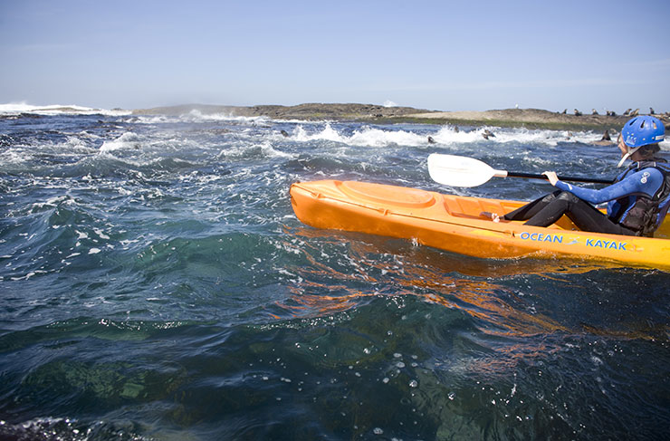 kayaking trips melbourne