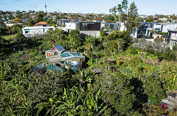 A view of Kelmarna Gardens - a sprawling urban community garden in the heart of Auckland City.
