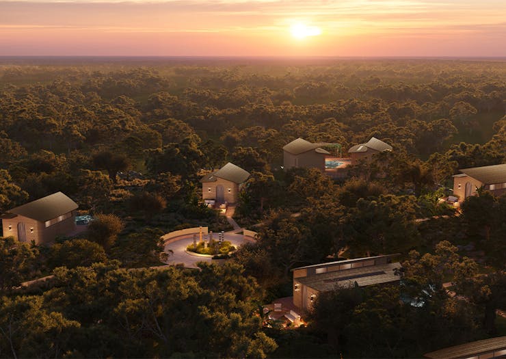 render of eco cabins and suites in the bush