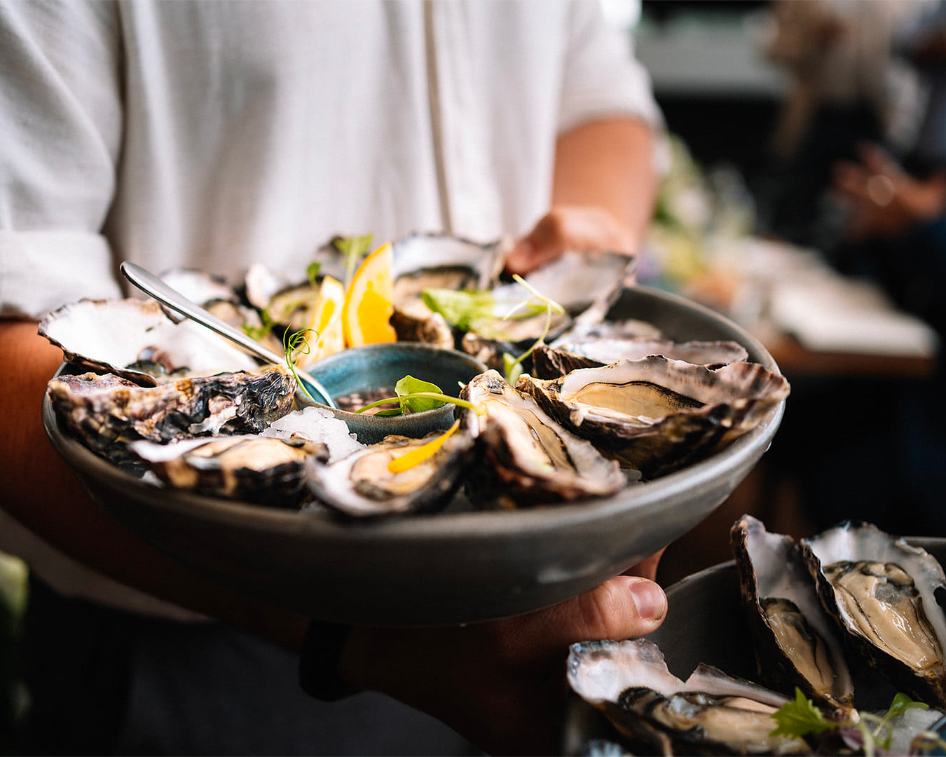 A plate of oysters is expertly carried by a waiter at Ki Māha, one of the best restaurants on Waiheke Island. 